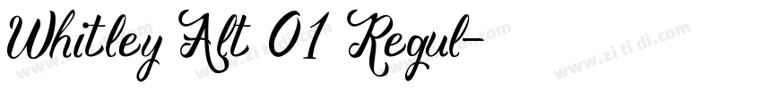 Whitley Alt 01 Regul字体转换